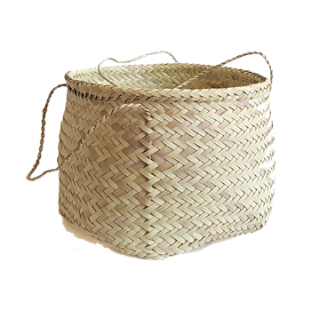 سبد